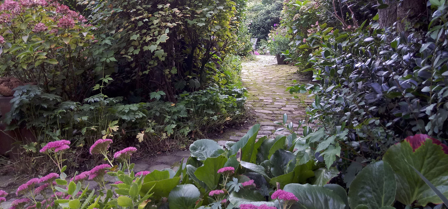 Keizer-Tuinonderhoud-Groen